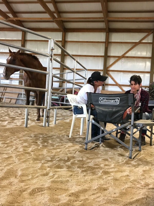 Facilitated equine-partnered wellness session at Journey With Equus